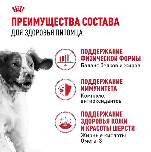 Royal Canin Medium Adult Корм сухой для взрослых собак средних размеров от 12 месяцев до 7 лет