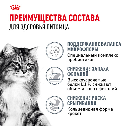 Royal Canin Digestive Care Корм сухой полнорационный для взрослых кошек. Рекомендуется для поддержания здоровья пищеварительной системы