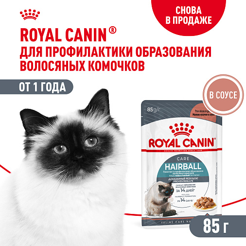 Royal Canin Корм для профилактики образования волосяных комочков у взрослых кошек (Hairball Care), мелкие кусочки в соусе