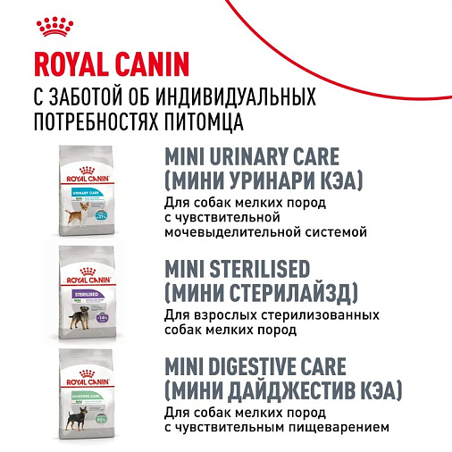 Royal Canin Pug Adult Корм сухой для взрослых собак породы Мопс от 10 месяцев