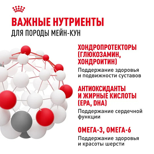 Royal Canin Maine Coon Adult Корм сухой сбалансированный для взрослых кошек породы Мэйн Кун