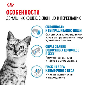 Royal Canin Indoor Appetite Control Корм сухой сбалансированный для взрослых кошек, живущих в помещении