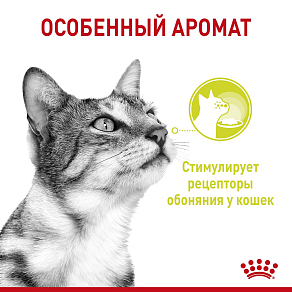 Royal Canin Sensory запах (в соусе) Корм консервированный полнорационный для взрослых кошек (в возрасте от 1 года до 7 лет), стимулирующий обонятельные рецепторы