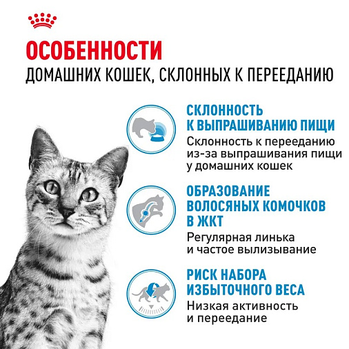 Royal Canin Indoor Appetite Control Корм сухой сбалансированный для взрослых кошек, живущих в помещении