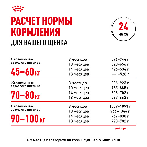 Royal Canin Giant Junior Корм сухой  для щенков очень крупных пород  в возрасте от 8 до 18/24 месяцев