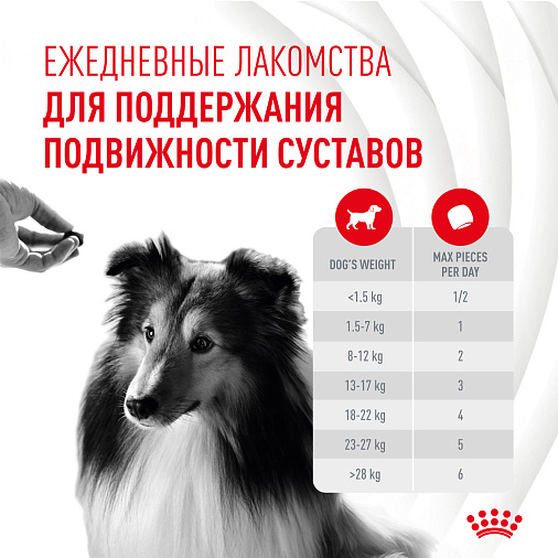 Royal Canin Skin&Coat Chews лакомство взрослых собак, дополнительное питание для поддержания здоровья кожи и шерсти