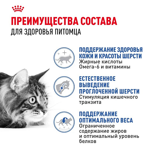 Royal Canin Indoor Long Hair Корм сухой сбалансированный для взрослых длинношерстных кошек, живущих в помещении