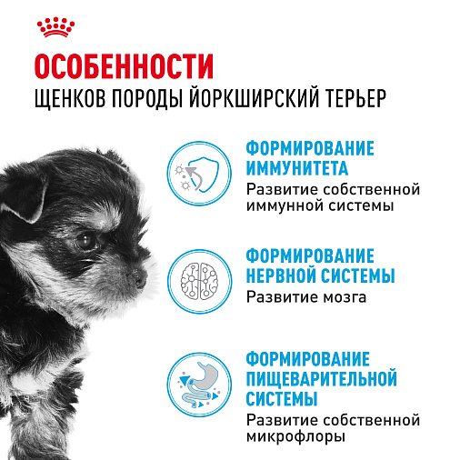 Royal Canin Yorkshire Terrier Puppy Корм сухой для щенков породы йоркширский терьер до 10 месяцев