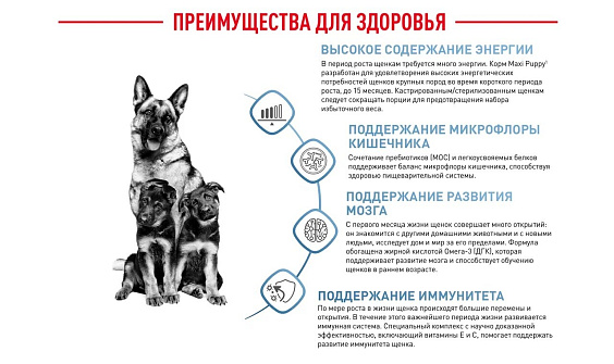 Royal Canin Maxi Puppy Корм сухой для щенков крупных размеров в возрасте до 15 месяцев