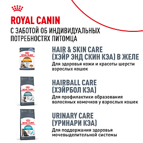 Royal Canin Hair&Skin Care Корм консервированный полнорационный для взрослых кошек для поддержания здоровья кожи и красоты шерсти, тонкие ломтики в соусе