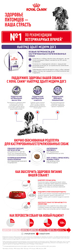 Royal Canin Neutered Adult Medium Dogs (Ньютрид Эдалт Медиум Догз) Корм сухой для взрослых стерилизованных/кастрированных собак средних пород