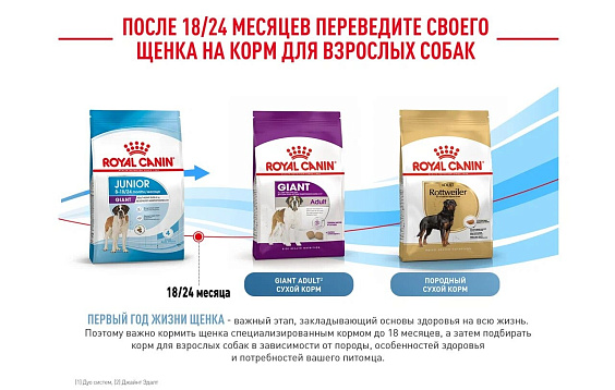 Royal Canin Giant Junior Корм сухой  для щенков очень крупных пород  в возрасте от 8 до 18/24 месяцев