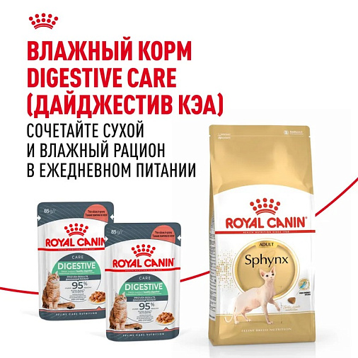 Royal Canin Sphynx Adult Корм сухой сбалансированный для взрослых кошек породы Сфинкс от 12 месяцев