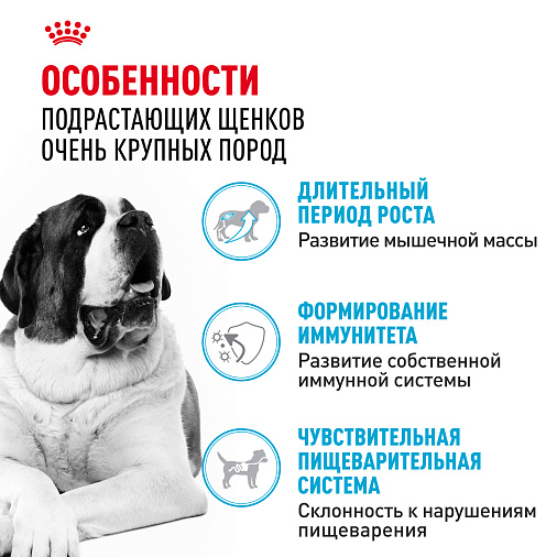 Royal Canin Giant Junior Корм сухой  для щенков очень крупных пород  в возрасте от 8 до 18/24 месяцев
