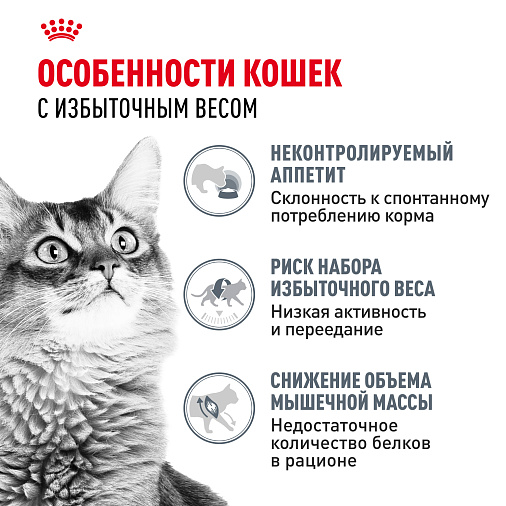 Royal Canin LIGHT WEIGHT CARE Корм консервированный полнорационный для взрослых кошек - Рекомендуется для контроля набора веса, мелкие кусочки в желе