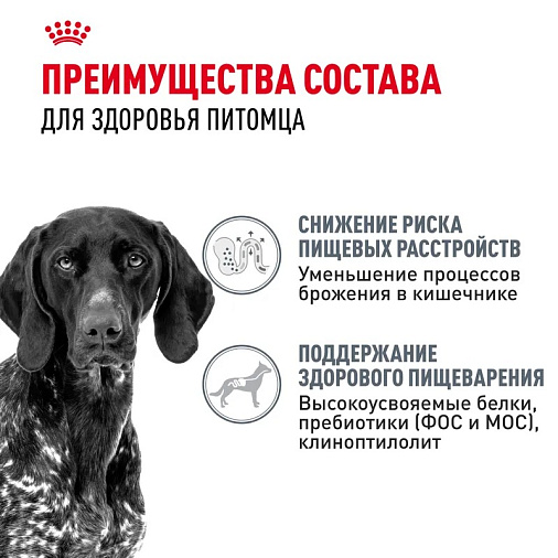 Royal Canin Maxi Digestive Care Корм сухой для взрослых собак больших размеров с чувствительным пищеварением