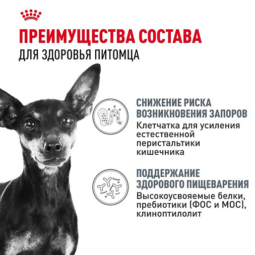 Royal Canin Mini Digestive Care Корм сухой для взрослых собак мелких размеров с чувствительным пищеварением