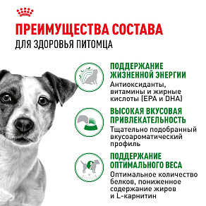 Royal Canin Mini Adult 8+ для взрослых собак мелких размеров (до 10 кг) старше 8 лет