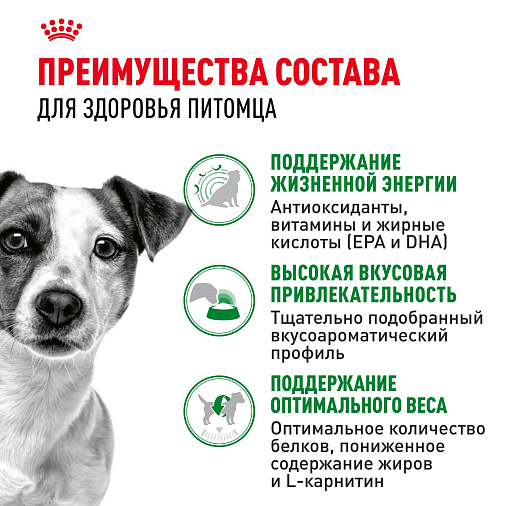 Royal Canin Mini Adult 8+ для взрослых собак мелких размеров (до 10 кг) старше 8 лет