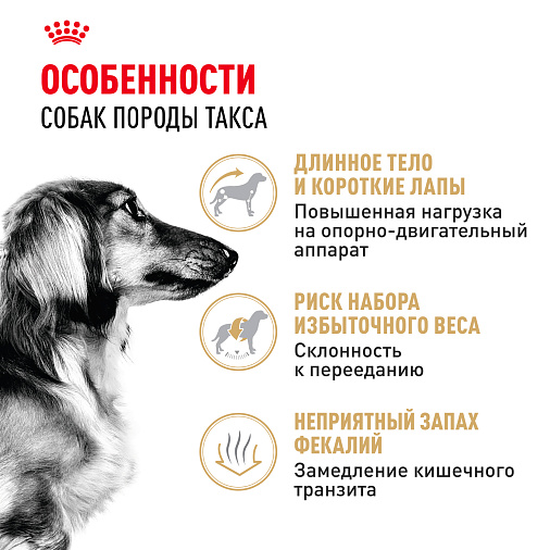 Royal Canin Dachshund Adult Корм сухой для взрослых собак породы Такса от 10 месяцев