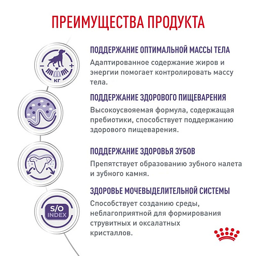 Royal Canin Neutered Adult Small Dogs (Ньютрид Эдалт Смол Догз) Корм сухой для взрослых стерилизованных/кастрированных собак мелких пород