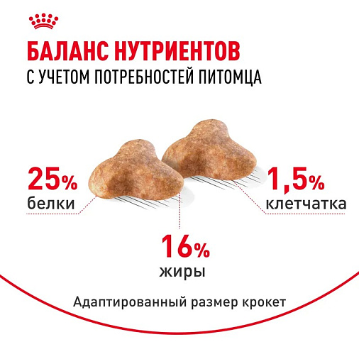 Royal Canin Pug Adult Корм сухой для взрослых собак породы Мопс от 10 месяцев