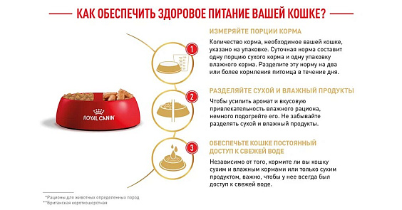 Royal Canin British Shorthair Adult Корм сухой сбалансированный для взрослых британских короткошерстных кошек