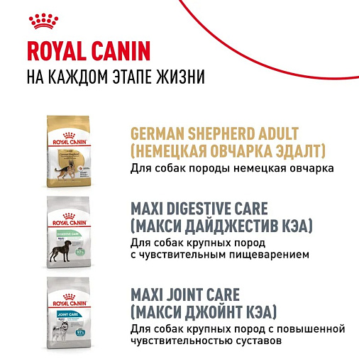 Royal Canin German Shepherd Puppy Корм сухой для щенков породы Немецкая овчарка до 15 месяцев