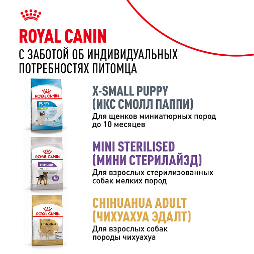 Royal Canin X-Small Adult Корм сухой для взрослых собак очень мелких размеров от 10 месяцев