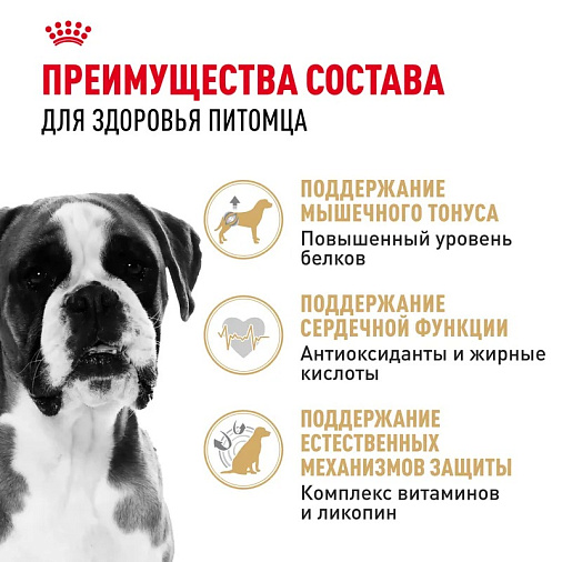 Royal Canin Boxer Adult Корм сухой для взрослых и стареющих собак породы боксер от 15 месяцев