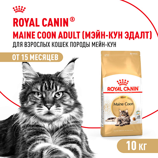 Royal Canin Maine Coon Adult Корм сухой сбалансированный для взрослых кошек породы Мэйн Кун