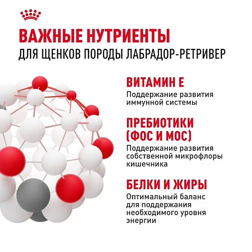 Royal Canin Labrador Retriever Puppy Корм сухой для щенков породы Лабрадор Ретривер до 15 месяцев