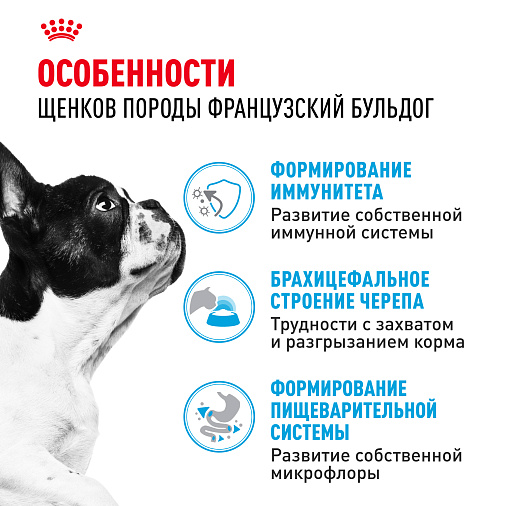 Royal Canin French Bulldog Puppy Корм сухой для щенков породы Французский Бульдог до 12 месяцев