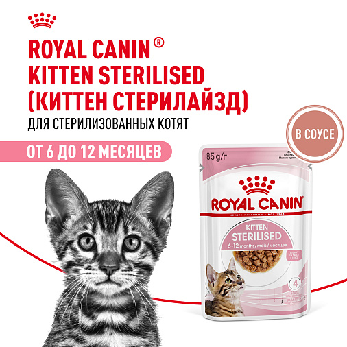 Royal Canin KITTEN STERILISED Корм консервированный полнорационный для кошек — Специально для кастрированных и стерилизованных котят (в возрасте от 6 до 12 месяцев), мелкие кусочки в соусе
