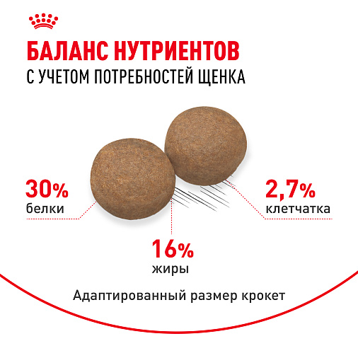 Royal Canin Maxi Puppy Корм сухой для щенков крупных размеров в возрасте до 15 месяцев