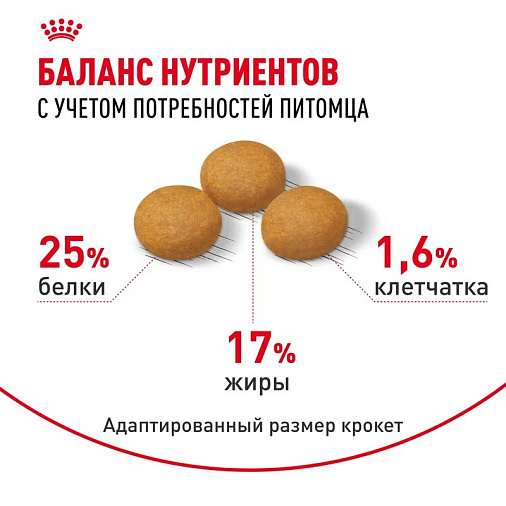 Royal Canin Maxi Dermacomfort Корм сухой для взрослых собак крупных размеров при раздражениях и зуде кожи