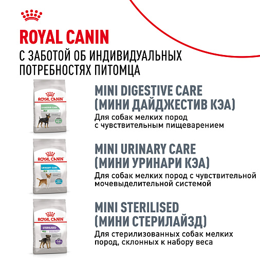 Royal Canin Mini Dental Care Корм сухой для собак мелких размеров, предрасположенных к образованию зубного камня