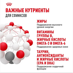 Royal Canin Sphynx Adult Корм сухой сбалансированный для взрослых кошек породы Сфинкс от 12 месяцев