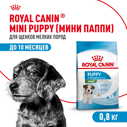 Royal Canin Mini Puppy Корм сухой для щенков мелких пород в возрасте до 10 месяцев