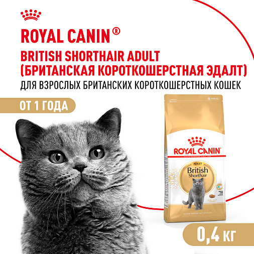 Royal Canin British Shorthair Adult Корм сухой сбалансированный для взрослых британских короткошерстных кошек