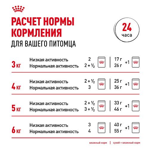 Royal Canin INDOOR STERILISED 7+ Корм консервированный полнорационный для кошек (в возрасте от 7 до 12 лет), живущих в помещении (мелкие кусочки в соусе)
