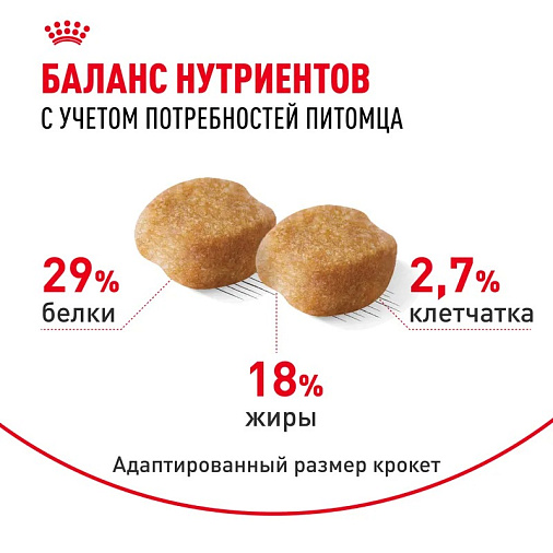 Royal Canin Yorkshire Terrier Adult 8+ Корм сухой для стареющих собак породы Йоркширский Терьер от 8 лет