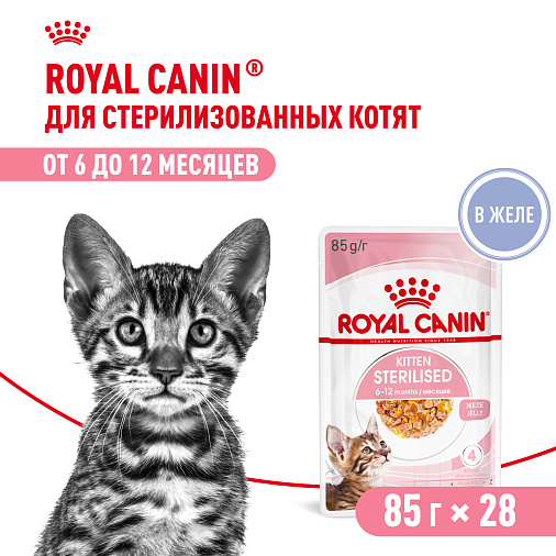 Royal Canin Корм для котят в возрасте до 12 месяцев (Kitten Sterilised), в желе