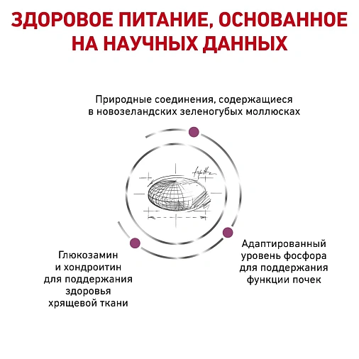 Royal Canin Mobility Корм сухой полнорационный диетический для взрослых кошек, предназначенный для улучшения подвижности суставов. Ветеринарная диета