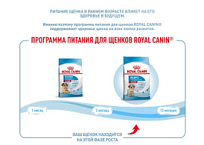 Royal Canin Medium Puppy Корм сухой для щенков средних размеров от 2 до 12 месяцев
