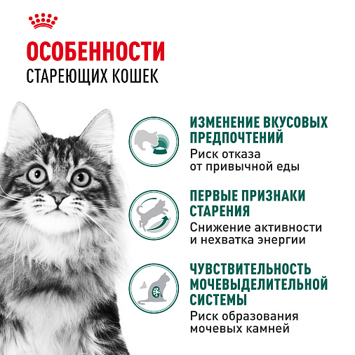 Royal Canin Корм для кошек с инстинктивным предпочтением в возрасте старше 7 лет (Instinctive 7+), мелкие кусочки в соусе