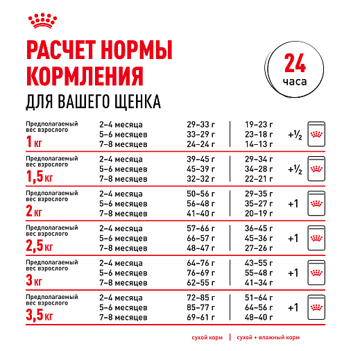 Royal Canin Chihuahua Puppy Корм сухой для щенков породы Чихуахуа до 8 месяцев