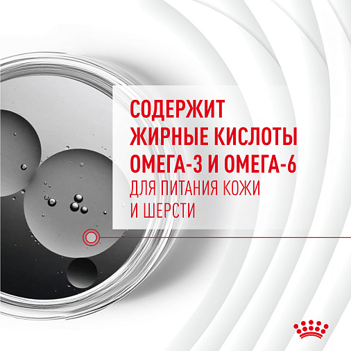 Royal Canin Skin&Coat Chews лакомство взрослых собак, дополнительное питание для поддержания здоровья кожи и шерсти
