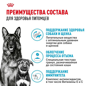 Royal Canin Maxi Starter Корм сухой для щенков крупных размеров до 2-х месяцев, беременных и кормящих сук
