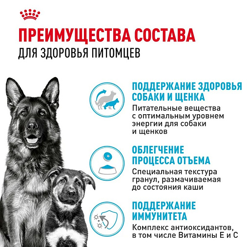 Royal Canin Maxi Starter Корм сухой для щенков крупных размеров до 2-х месяцев, беременных и кормящих сук